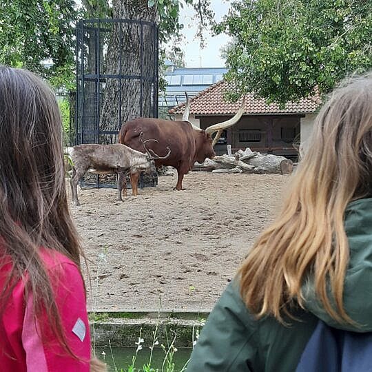 Eindelijk weer naar Artis